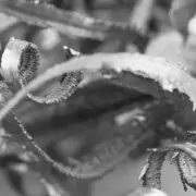 machining gummy materials