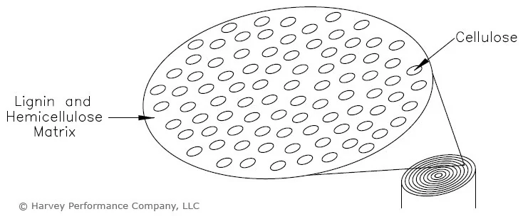 diagram of natural wood fibers for cnc woodworking
